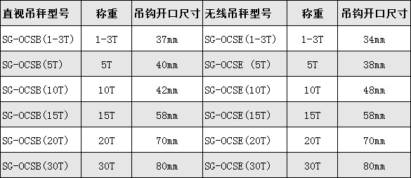 電子吊磅秤